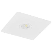Fischer - Sicherheitsleuchte LED-Sicherheitsleuchte BQE819M EB 8h