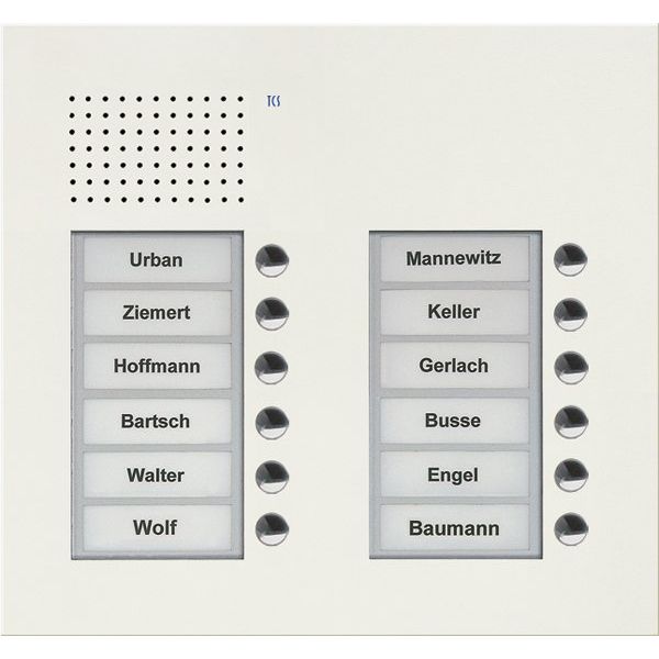 TCS Tür Control - Türstation für Türkommunikation Audio Außenstation PUK 12 PUK12/2-WS Tasten 2-spaltig UP