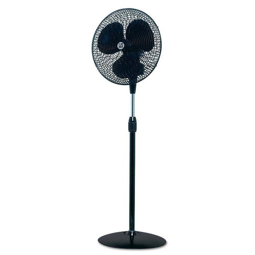 Casafan - Umluftventilator Standventilator GORDON C 40 SW