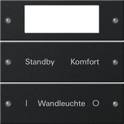 Gira - Bussystem-Tastwippe Wippenset 2-fach 2212005 beschr. Sys 55 sw