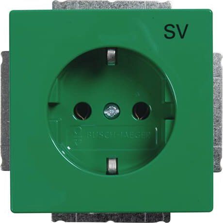 Busch-Jaeger - Steckdose SCHUKO Steckdosen-Einsatz 20 EUC-13-82-101 grün RAL6032