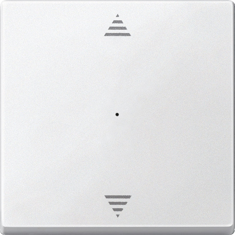 Merten - Bussystem-Tastwippe Wippe pws 625519 für Tastermodul 1f