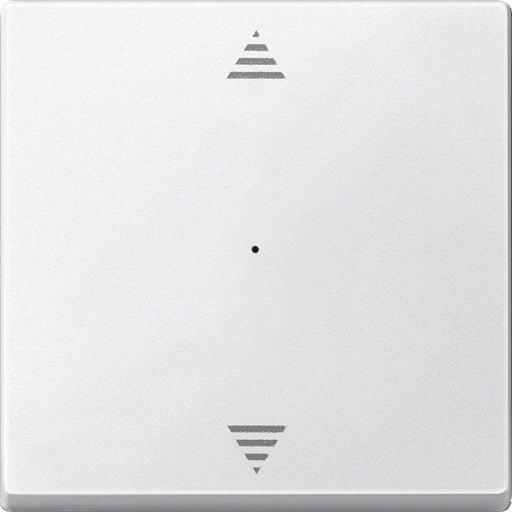 Merten - Bussystem-Tastwippe Wippe pws 625519 für Tastermodul 1f