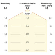 EVN Lichttechnik - Lichtschlauch/-band LED-Stripe 5m 24V IP20 C20242401027 COB, 2700K, 10W/m