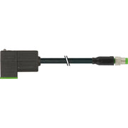 Murrelektronik - Konfektioniertes Sensor-Aktor-Kabel M8 Stecker 7000-88421-6130200 − 1 Stück