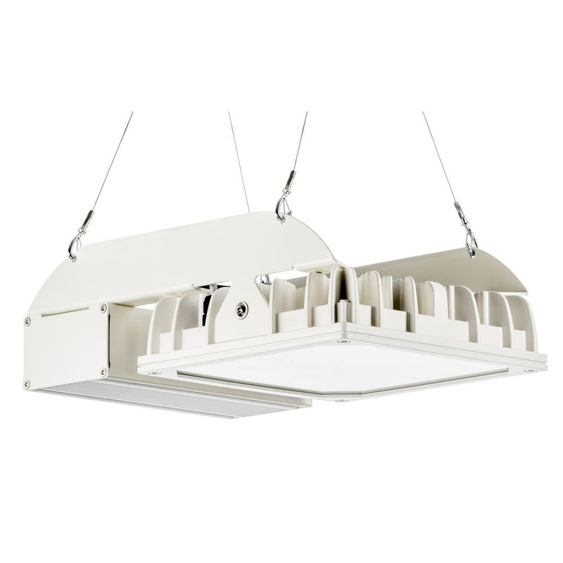 Pracht - Hallen-Reflektorleuchte LED-Hallenstrahler QUADRONIUS #86580221 IND DALI 4000K SK I