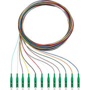 Rutenbeck - LWL-Pigtail Pigtails 12xLC OS2 APC 2m OS2, APC 2m
