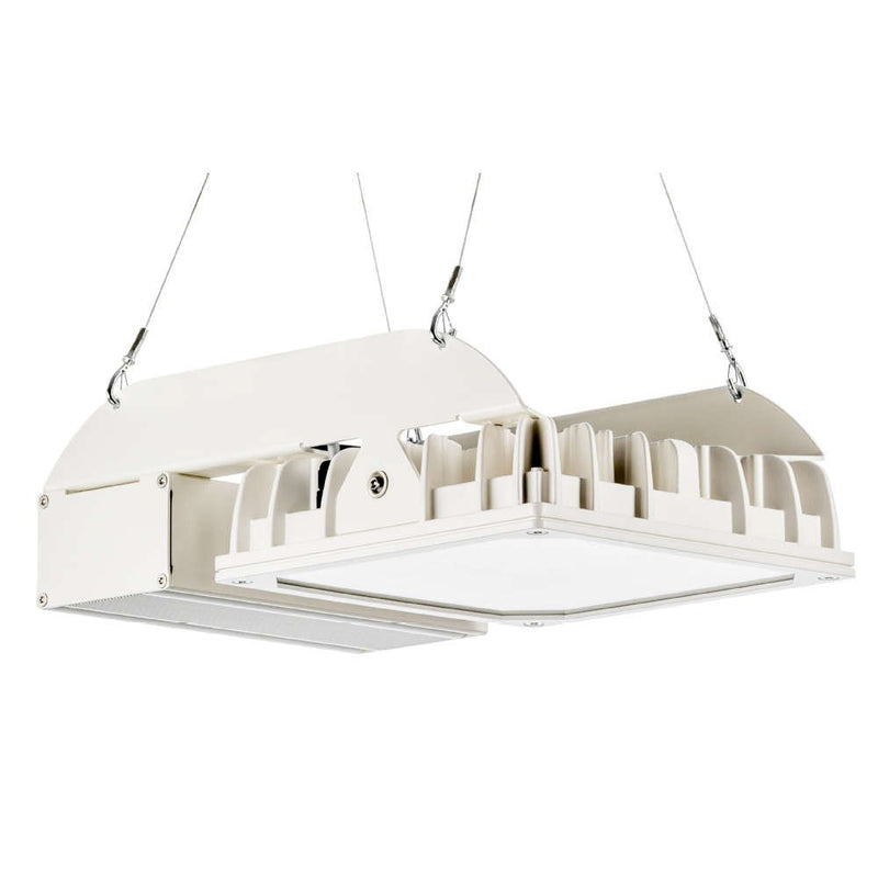 Pracht - Hallen-Reflektorleuchte LED-Hallenstrahler QUADRONIUS #86380221 IND DALI 4000K SK I