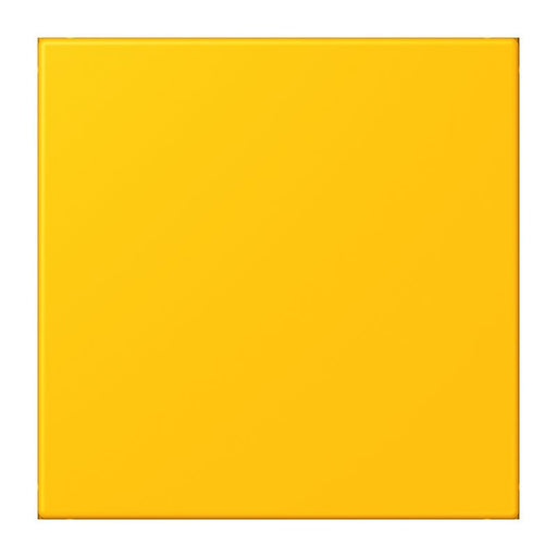 Jung - Behindertenelement für Installationsschalterprogramme Notrufsystem USV-Modul NRS LC 0834 USV 263