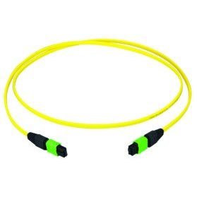 Telegärtner - Patchkabel LWL MPO/MTP-Patchkabel gb 5m 100011037 MPO APC OS2