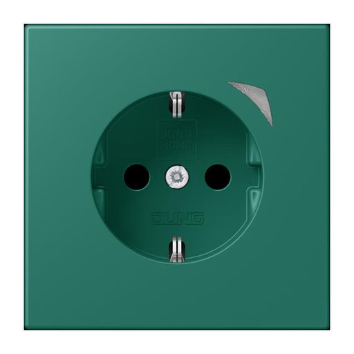 Jung - Steckdose SCHUKO Steckdose BT LC 1521 SE 216 vert anglais (32040)