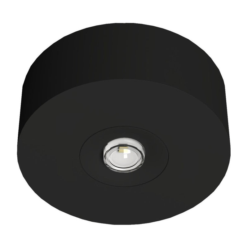RP-Technik - Sicherheitsleuchte LED-Sicherheitsleuchte EARL421WB-AZ Decke, Linsen, rund