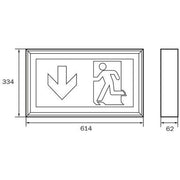 RP-Technik - Hinweisleuchte LED-Rettungszeichenleuchte LSW413SC EB 3h, SC