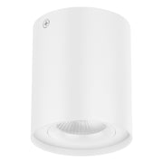 EVN Lichttechnik - Downlight/Strahler/Flutlicht LED-Anbauleuchte ALS20100102