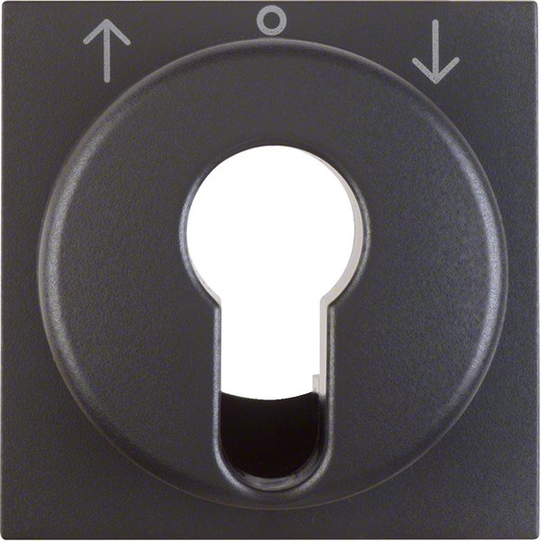 Berker - Abdeckung/Bedienelement für Installationsschalterprogramme Zentralstück anth 15061606