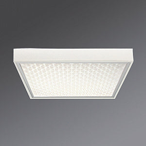 Regiolux - Decken-/Wandleuchte LED-Anbauleuchte protect #62000014150 4000K