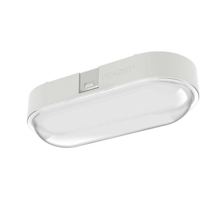 Pracht - Decken-/Wandleuchte LED-Ovalleuchte NINA ECO #5200010 840  − 1 Stück
