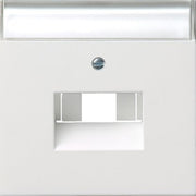 Gira - Einsatz/Abdeckung für Kommunikationstechnik Zentralplatte UAE/IAE/ISDN 0284112 rws/gl m.Schriftfeld