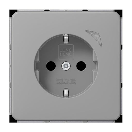 Jung - Steckdose SCHUKO Steckdose 16 A 250V BT CD 1521 SE GR m. Berührungsschutz