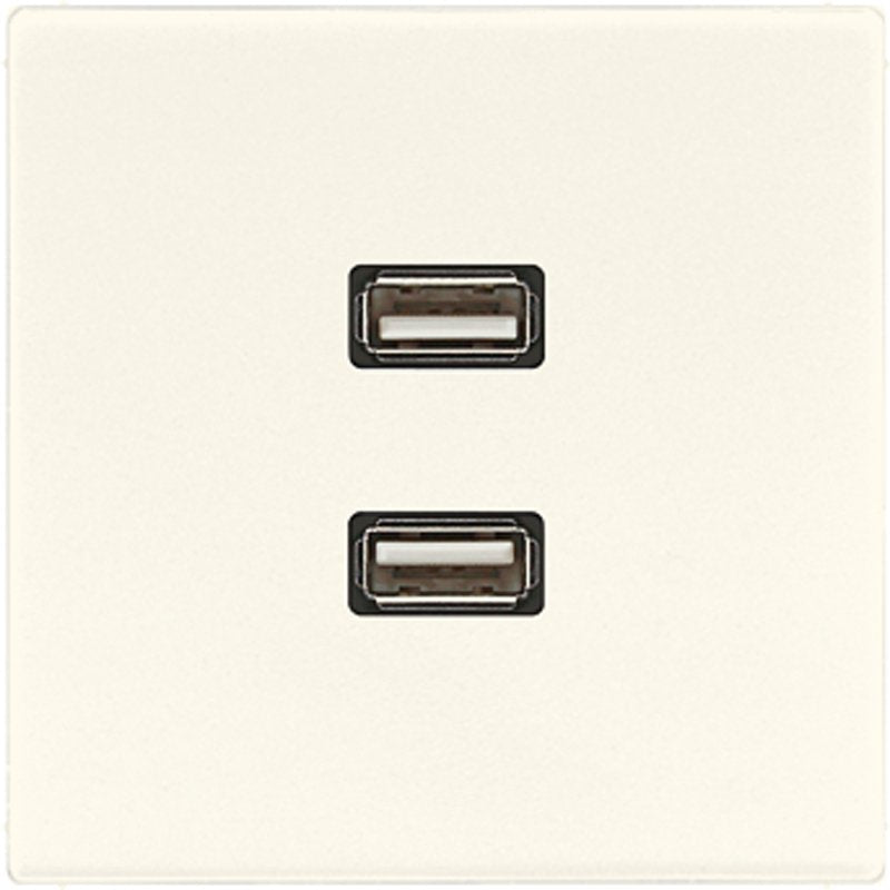 Jung - Multifunktions-Anschlussdose Multimedia-Anschluss ws MA LS 1153 2 x USB m.Tragring