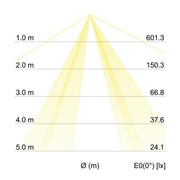 Brumberg Leuchten - Decken-/Wandleuchte Anbauleuchte 58237000 5x E27 max. 60W