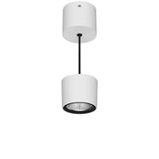 LTS Licht&Leuchten - Pendelleuchte ORYOPA203.930.FLD.ws 930, DALI, ws