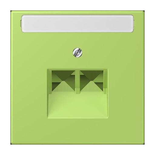 Jung - Einsatz/Abdeckung für Kommunikationstechnik Abdeckung für IAE/UAE LC 969-2 NAUA 221 vert clair (32052)