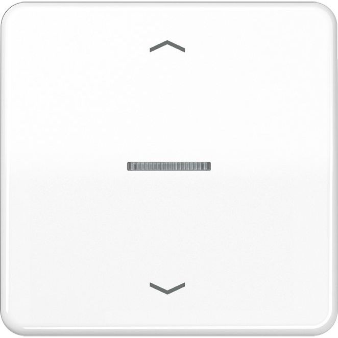Jung - Abdeckung/Bedienelement für Installationsschalterprogramme Wippe Symbole/Lichtl.aws CD 590 KO5P WW für Taster