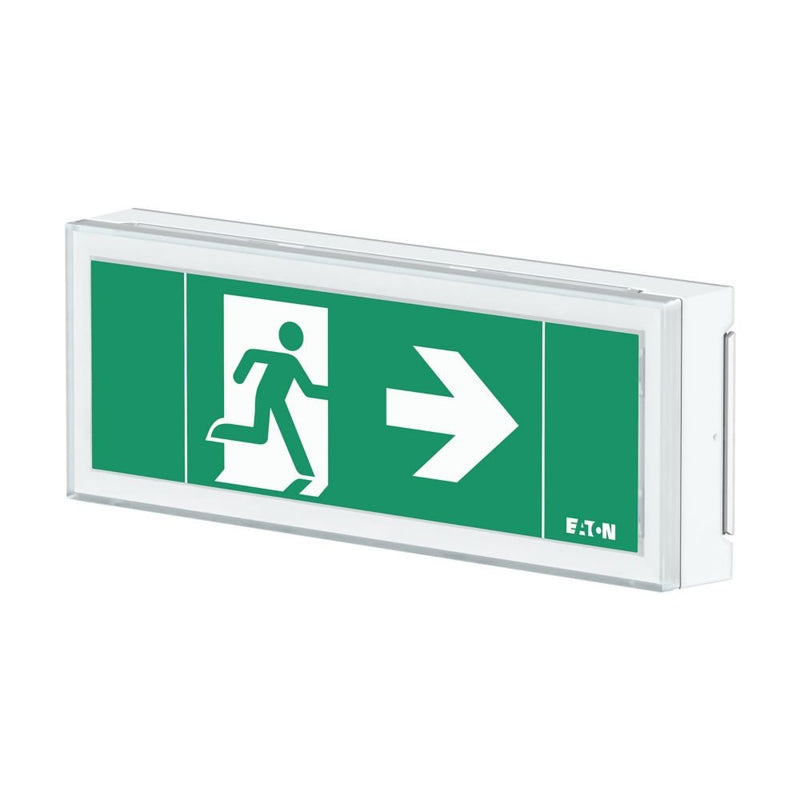 Ceag Notlichtsysteme - Sicherheitsleuchte LED-Rettungszeichenleuchte FT1EW4ICGS ZB, Piktos, Wand