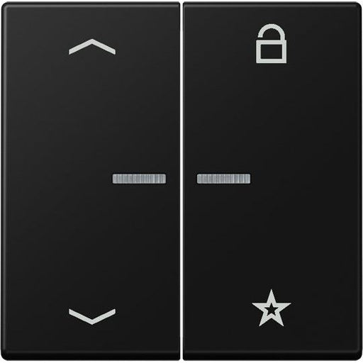 Jung - Bedienelement intelligent eNet Funk-Steuertaste FM A 1701 BFP SWM graphitschwarz matt − 1 Stück