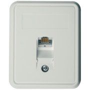 Telegärtner - Kommunikationsanschlussdose Kupfer Anschlussdose Cat.6A apws 100023001 UMJ45 8 K AP − 5 Stück