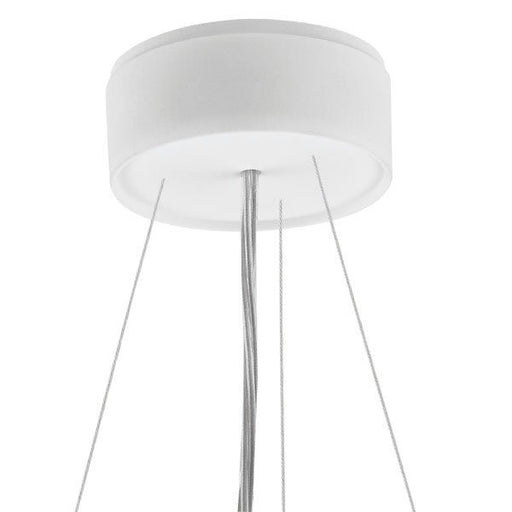 LTS Licht&Leuchten - Mechanisches Zubehör/Ersatzteile für Leuchten Drahtseilabhängung L 73/1500 DIM ws 1,5m 5-adrig