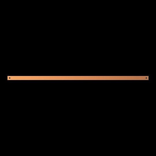 Striebel&John - Sammelschiene Kupferschiene ZXM1101 30x5mm, L:1100mm