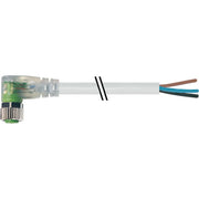 Murrelektronik - Konfektioniertes Sensor-Aktor-Kabel M8-Buchse gewinkelt 7000-08121-2101000 m.frei. Leitungsende − 1 Stück