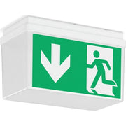 RZB - Sicherheitsleuchte LED-Sicherheitsleuchte 672521.002.07 EB 8h, 865, DALI, ws
