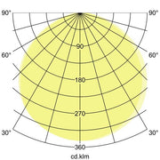 Brumberg Leuchten - Decken-/Wandleuchte LED-Wandleuchte 10222103 3000K, graphit