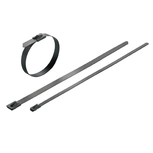 Weidmüller - Kabelbinder Edelstahl SCT-C 4.6/125 4.6mm,Polyesterbe. − 100 Stück