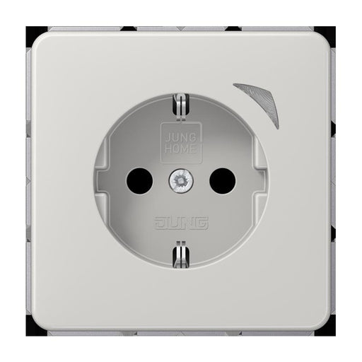 Jung - Steckdose SCHUKO Steckdose 16 A 250V BT CD 1521 SE LG m. Berührungsschutz