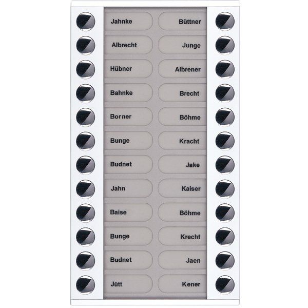 TCS Tür Control - Montageelement für Türstation Audioaußenstation 2-reihig PET24-WS/04 Erw.24 Tasten AP ws