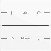 Gira - Bussystem-Tastwippe Wippenset 2-fach indiv. 576203 Tastsensor Reinweiß