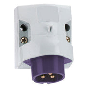 Bals Elektrotech - CEE-Gerätestecker (IEC 60309) Kleinspann.-Wandstecker 466 16A 3p 24V