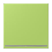 Jung - Orientierungsleuchte LED-Orientierungslicht LC 1539-OO LNW 221 vert clair (32052)