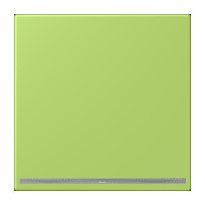 Jung - Orientierungsleuchte LED-Orientierungslicht LC 1539-OO LNW 221 vert clair (32052)
