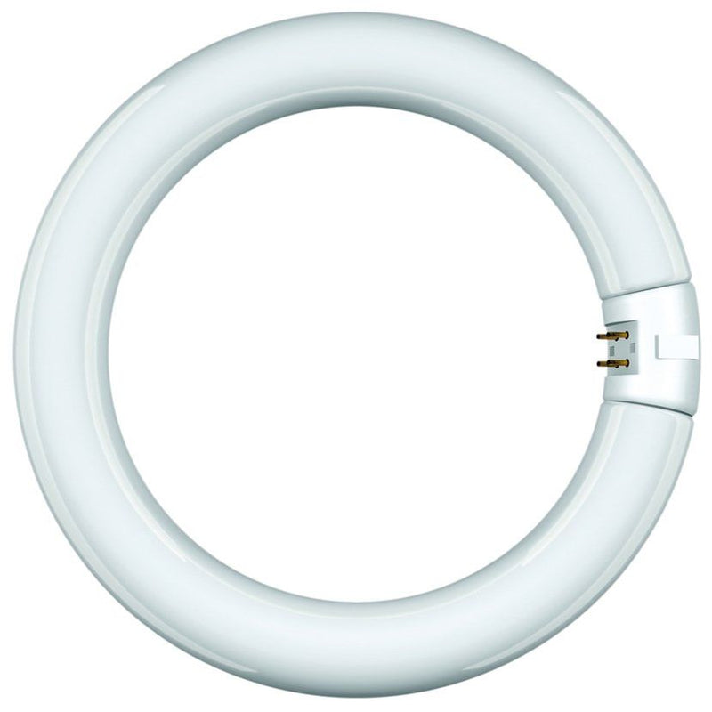 Scharnberger+Hasenbein - UV-Lampe Leuchtstofflampe Ringf. 68326 31x216mm G10q 22W BL