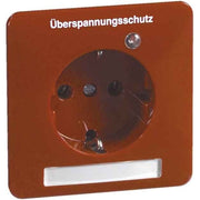 Peha - Schalter-/Steckdosenkombination Steckdose D 80.6611 ÜS/25 W