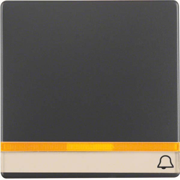 Berker - Abdeckung/Bedienelement für Installationsschalterprogramme Wippe anth/sa 16286076 2 Linsen/Beschriftg