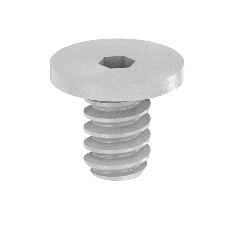 Weidmüller - Zubehör/Ersatzteile für Klemmen Schraube Tiefe: 7mm FKSC M4X6 D8/SW2 − 100 Stück