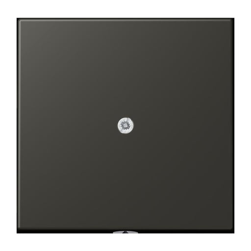 Jung - Einsatz/Abdeckung für Kommunikationstechnik Leitungsauslass m. Zugent. LC 990 A 259 ombre naturelle 59