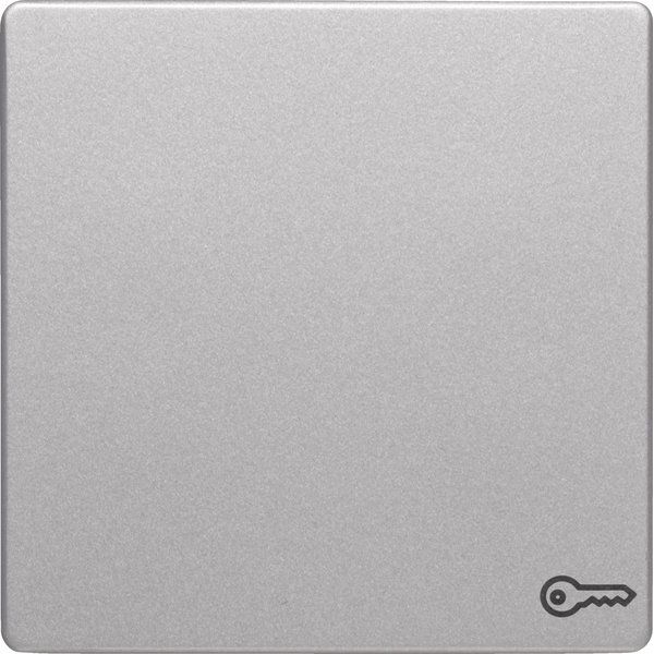 Berker - Abdeckung/Bedienelement für Installationsschalterprogramme Wippe alu/lack 16206064 Symbol Schlüssel