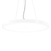 Zumtobel Group - Pendelleuchte LED - Rundleuchte ONDA2 P AV #42185449 4000K